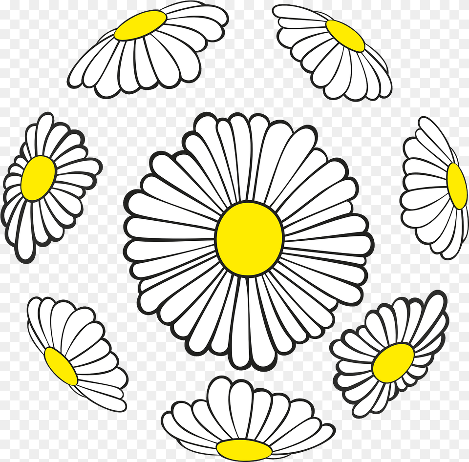 Daisies Sphere Spring Flowers Picpng Vector, Daisy, Flower, Plant, Anemone Png Image