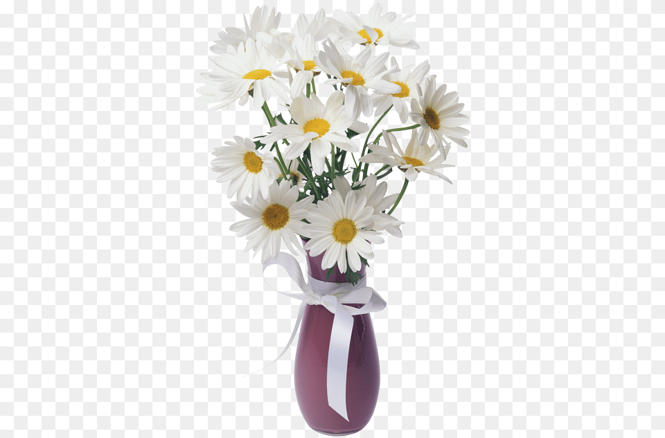 Daisies Vase Bouquet Ga Images Vase Of Flowers, Daisy, Flower, Flower Arrangement, Flower Bouquet Free Transparent Png
