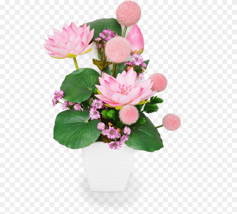 Daisy, Plant, Flower, Flower Arrangement, Flower Bouquet Png Image