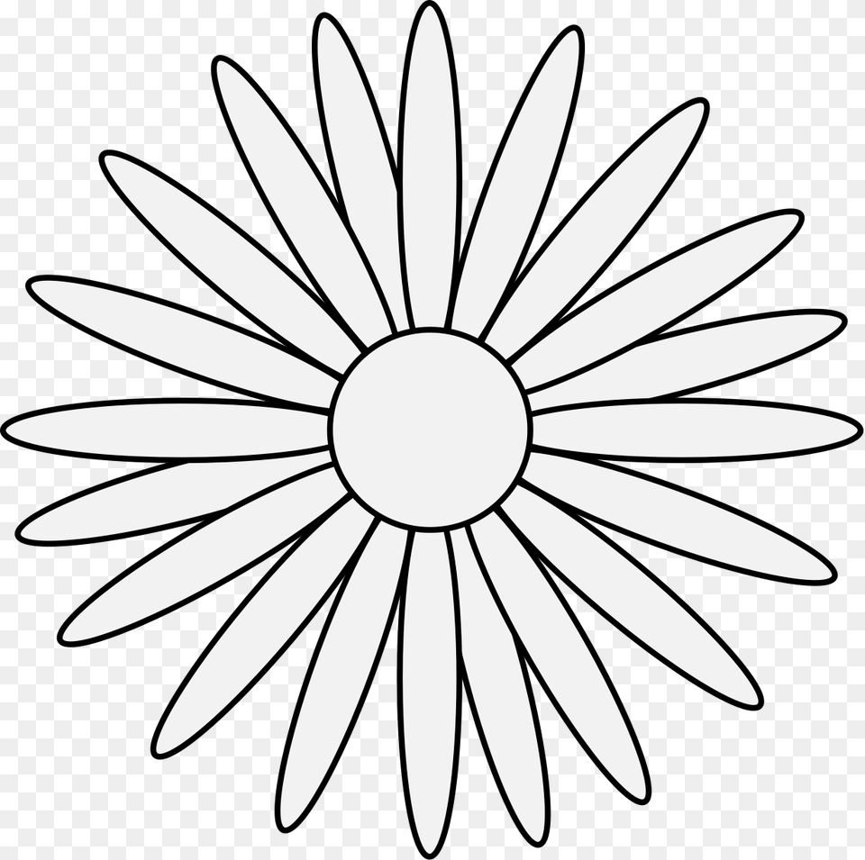 Daisy, Flower, Plant, Blade, Dagger Png Image