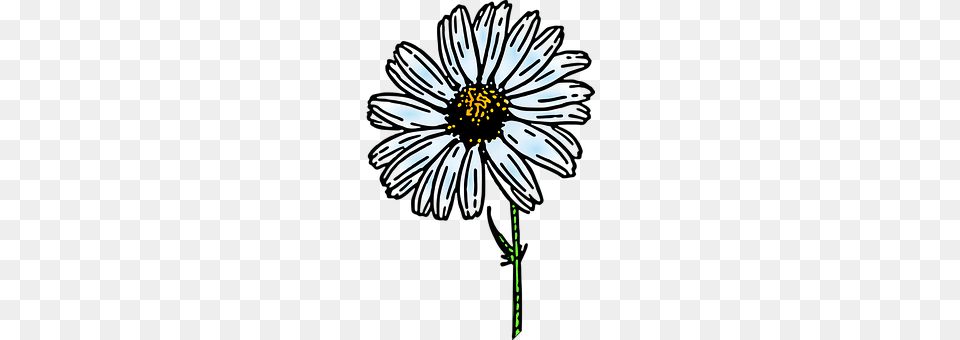 Daisy Flower, Plant, Anemone, Chandelier Free Png