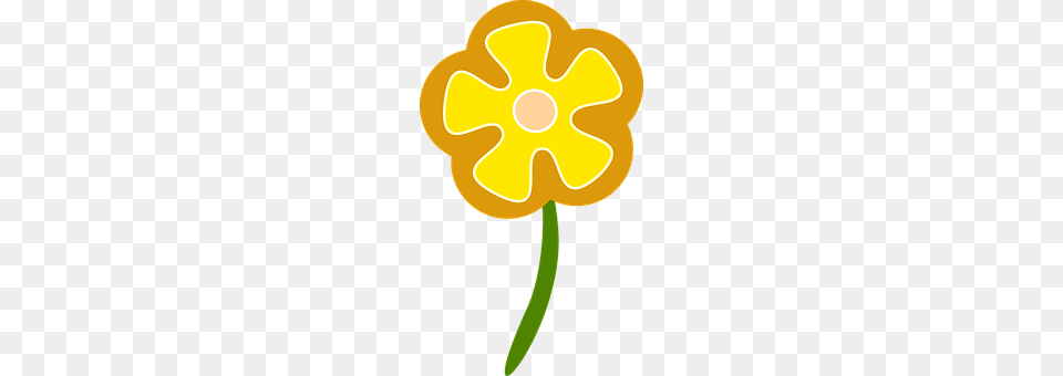 Daisy Daffodil, Flower, Plant, Petal Png