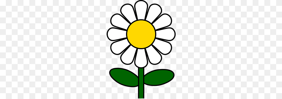 Daisy Flower, Plant, Petal Free Transparent Png