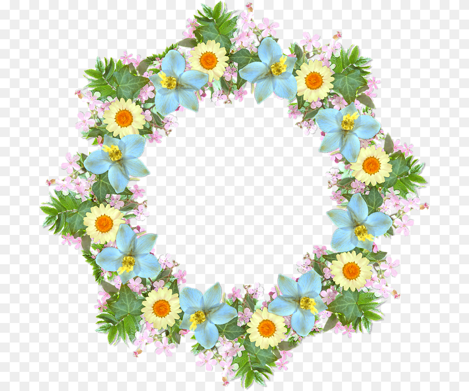 Daisy, Plant, Flower Arrangement, Flower, Art Free Png