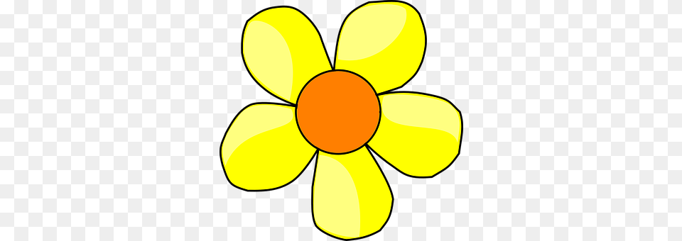 Daisy Plant, Petal, Daffodil, Flower Png Image