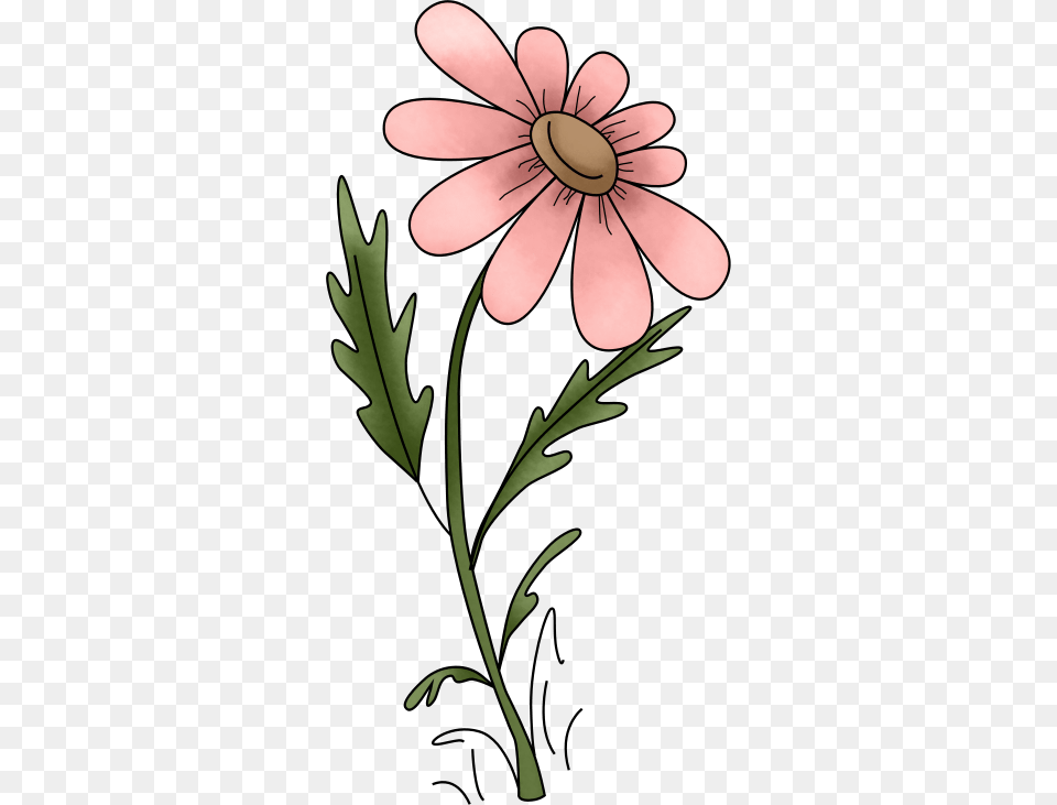 Daisy, Anther, Flower, Plant, Petal Free Png Download