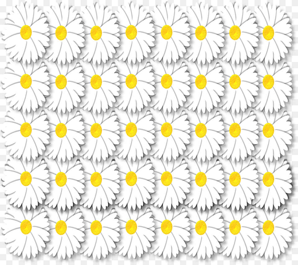 Daisy, Flower, Plant Png