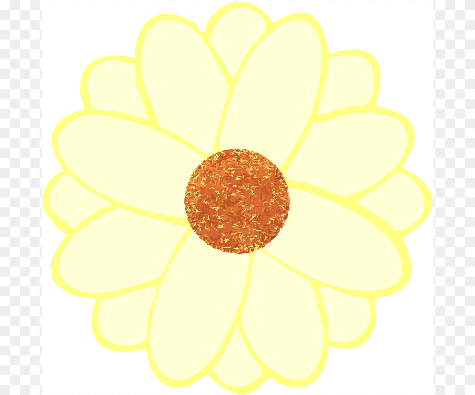 Daisy, Flower, Plant, Dahlia, Petal Free Png Download