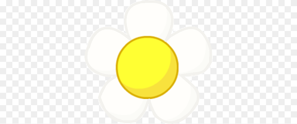 Daisy Bfdi Daisy, Anemone, Flower, Plant, Nature Free Png Download