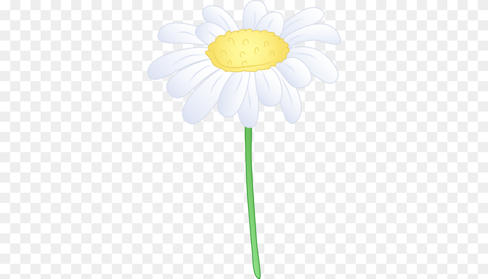 Daisy Border Clip Art, Flower, Plant, Petal Png Image