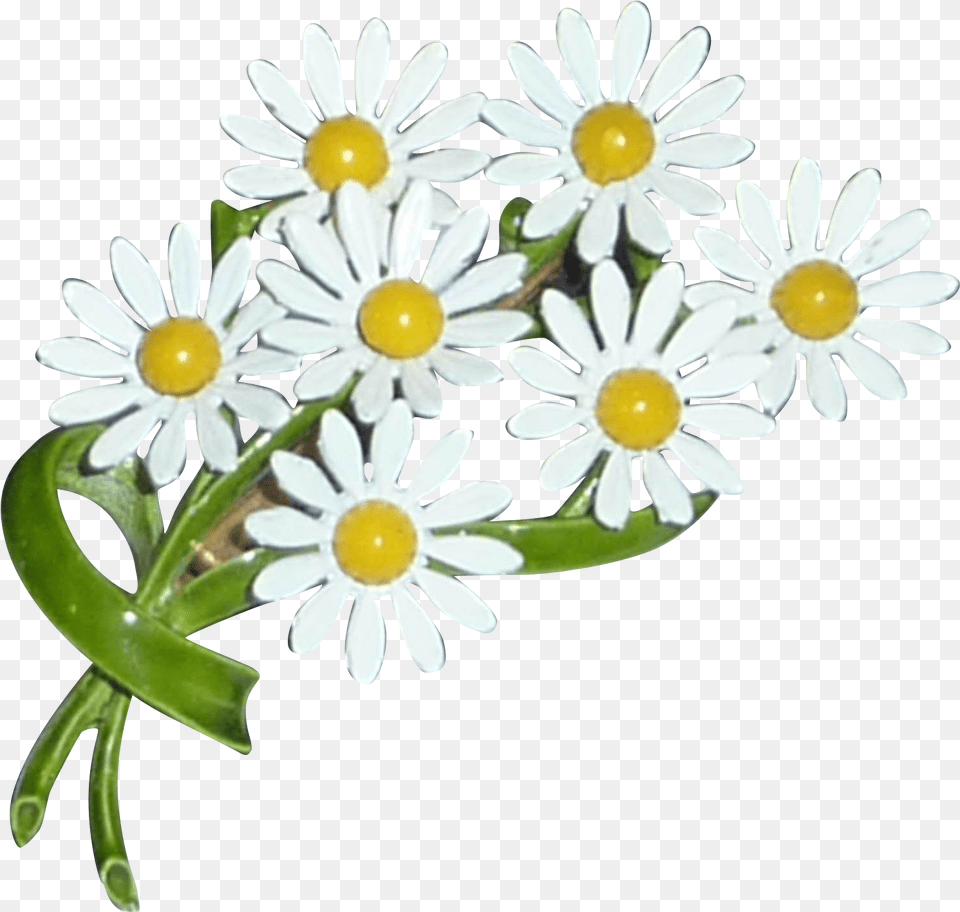 Daisy Bouquet Image Daisy Flower Bouquet Clipart, Plant, Petal Free Transparent Png