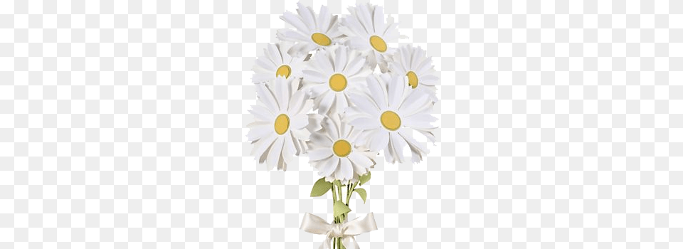 Daisy Bouquet Pic Portable Network Graphics, Anemone, Plant, Flower, Petal Png Image