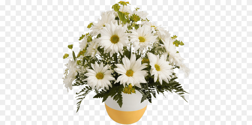 Daisy Bowl Yellow Bowl, Flower, Flower Arrangement, Flower Bouquet, Plant Png Image