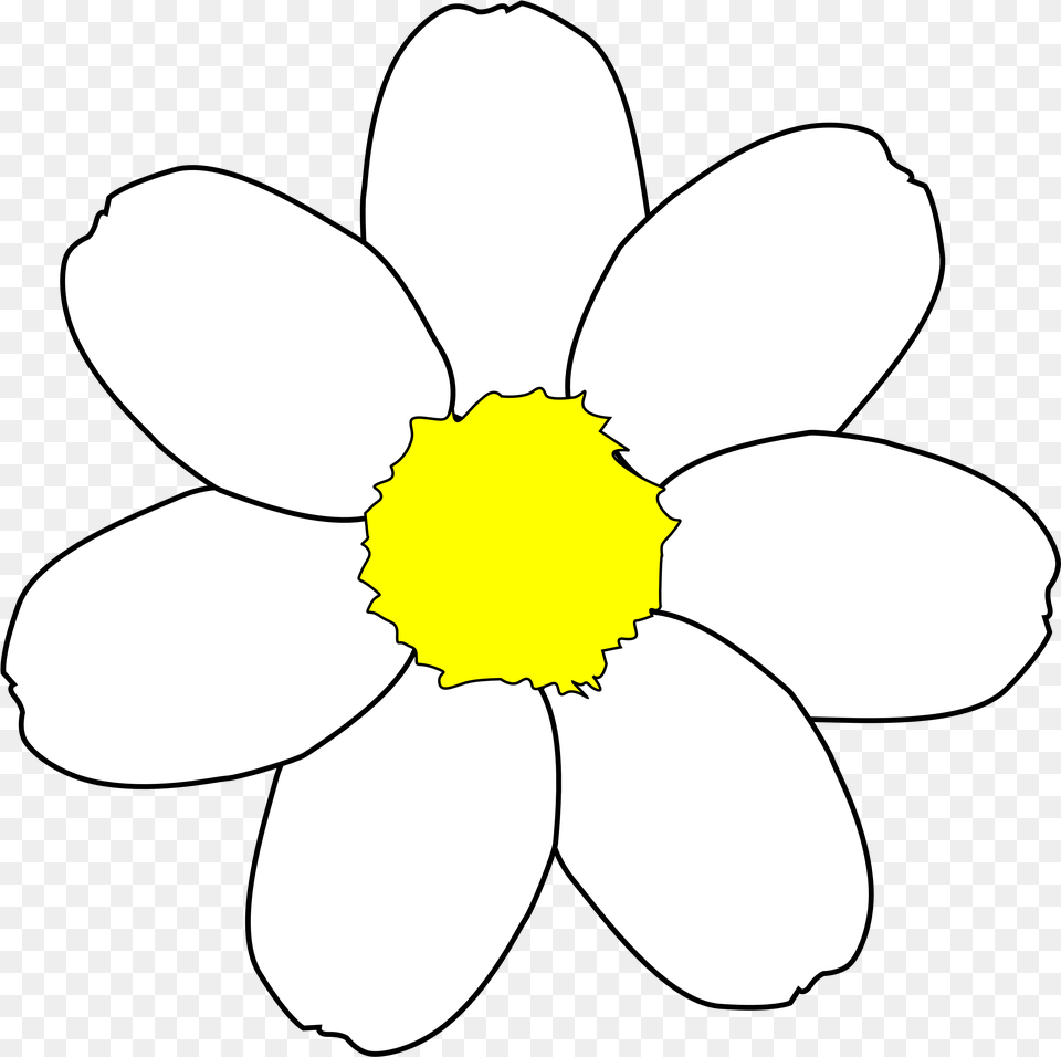 Daisy Chain Clipart 7 Petal Flower Template, Anemone, Plant, Anther, Person Free Png Download