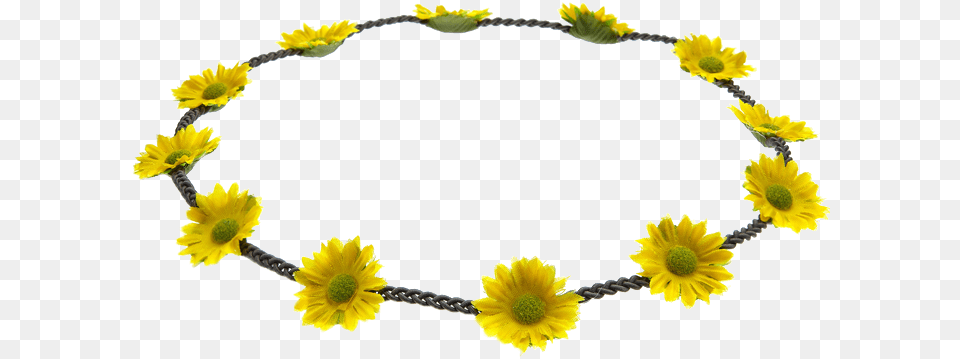 Daisy Chain Flowers Daisy Chain Accessories, Flower, Petal, Plant Free Transparent Png