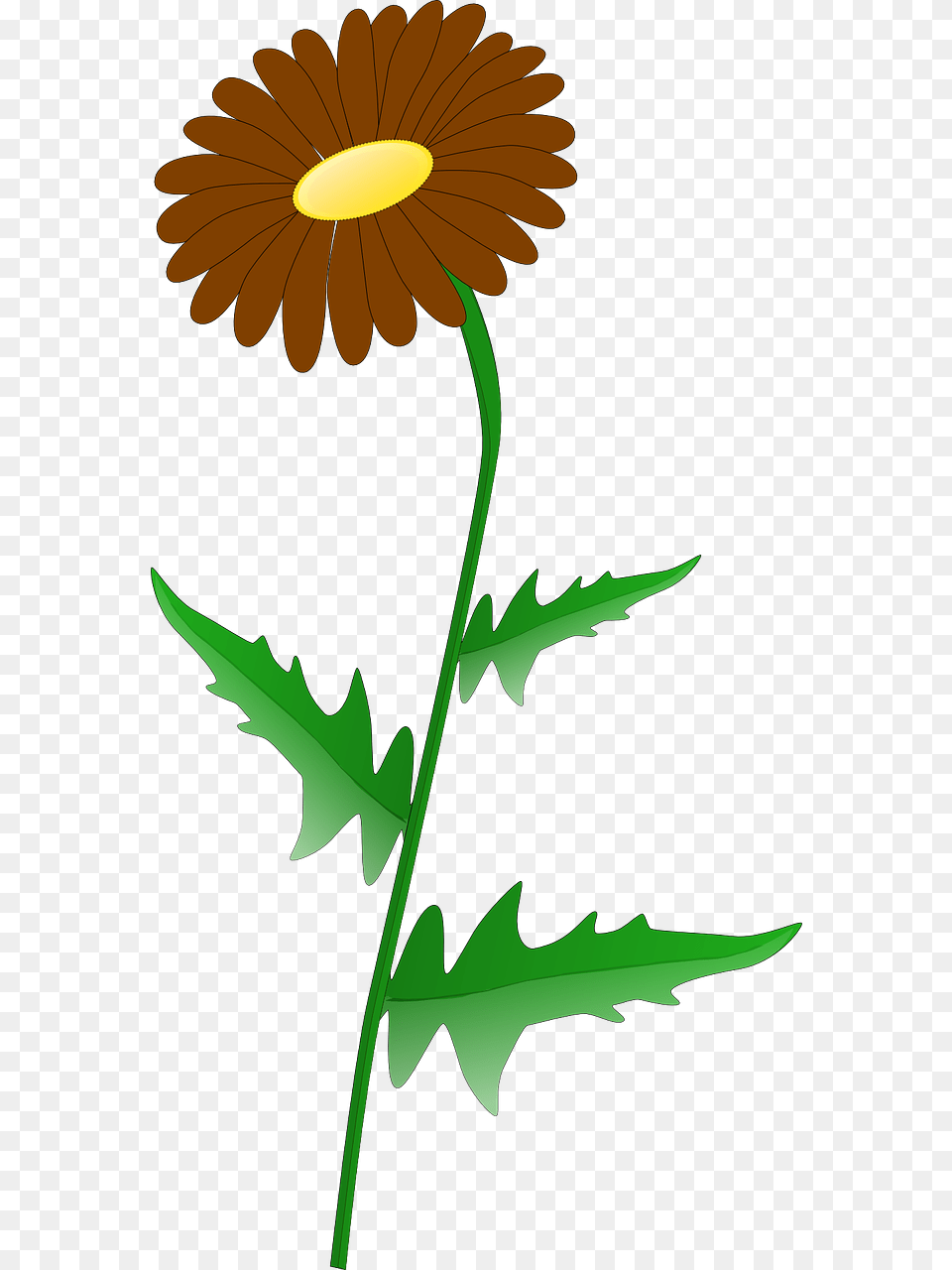 Daisy Clip Art, Flower, Plant, Leaf Free Png Download