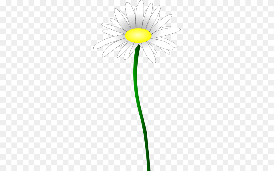 Daisy Clip Art, Flower, Plant, Cross, Symbol Free Png