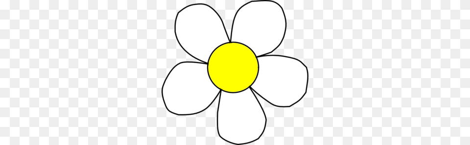 Daisy Clip Art Border, Anemone, Flower, Plant, Petal Png