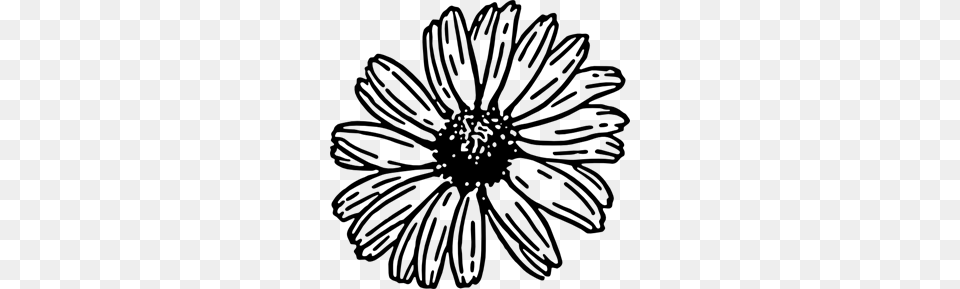 Daisy Clip Art For Web, Gray Free Transparent Png