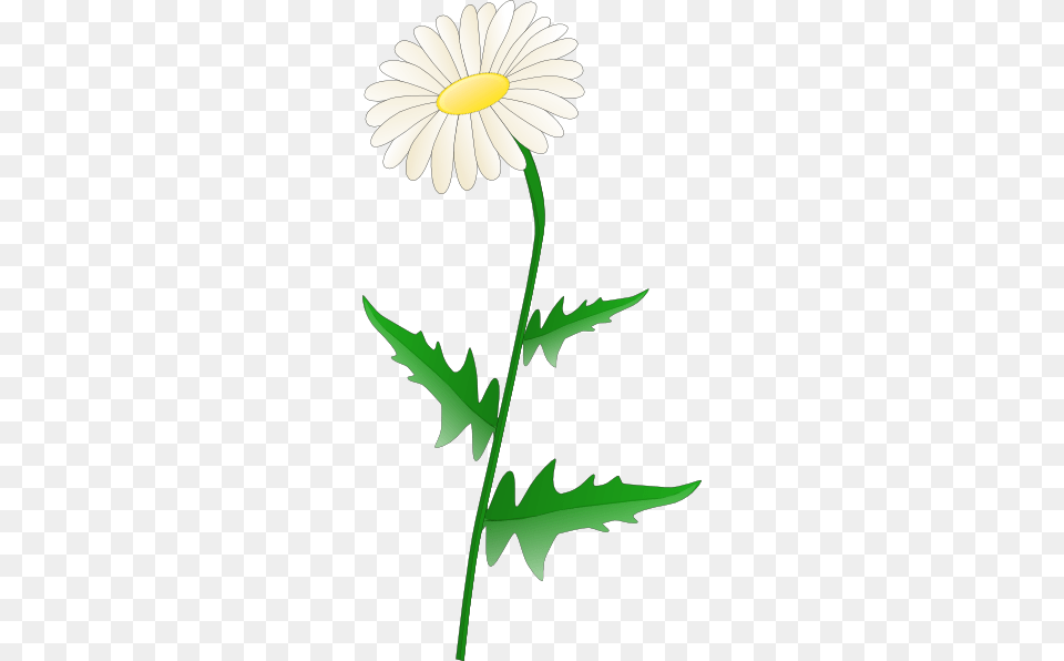 Daisy Clip Art Vector, Flower, Plant, Animal, Fish Png Image