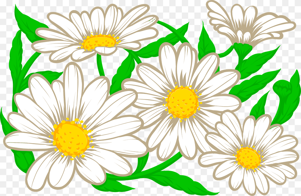 Daisy Clipart, Flower, Plant, Pattern Free Png Download