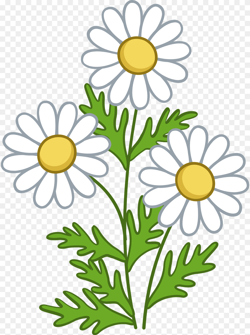 Daisy Clipart, Flower, Plant, Dynamite, Weapon Png Image