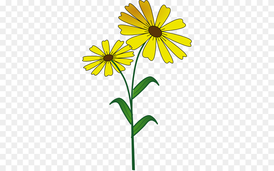 Daisy Clipart, Flower, Plant, Petal, Sunflower Free Transparent Png