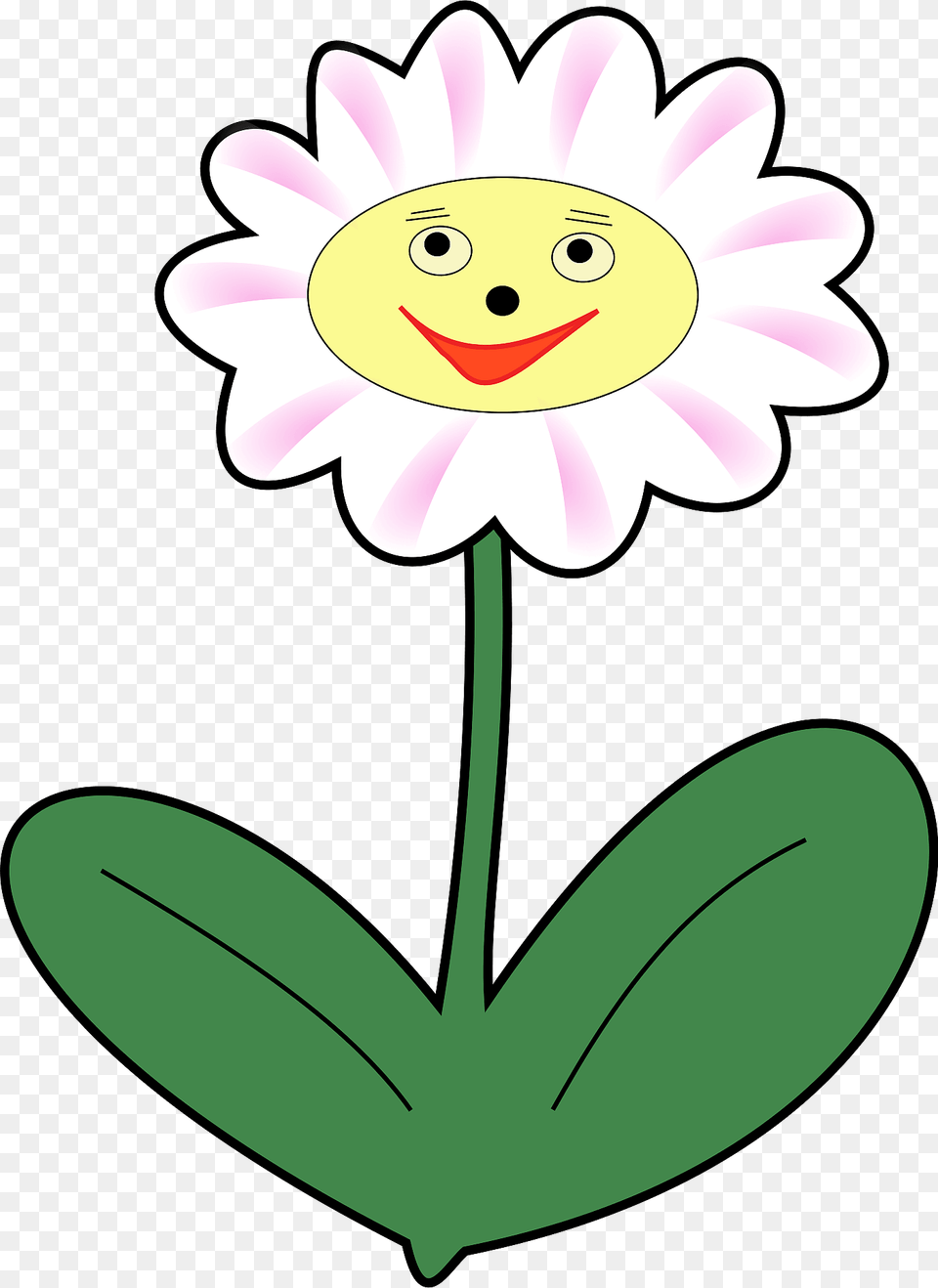 Daisy Clipart, Flower, Plant, Petal, Face Png