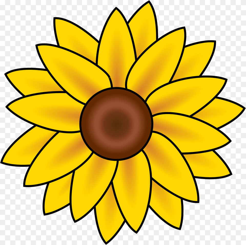 Daisy Clipart, Flower, Plant, Sunflower, Bonfire Png