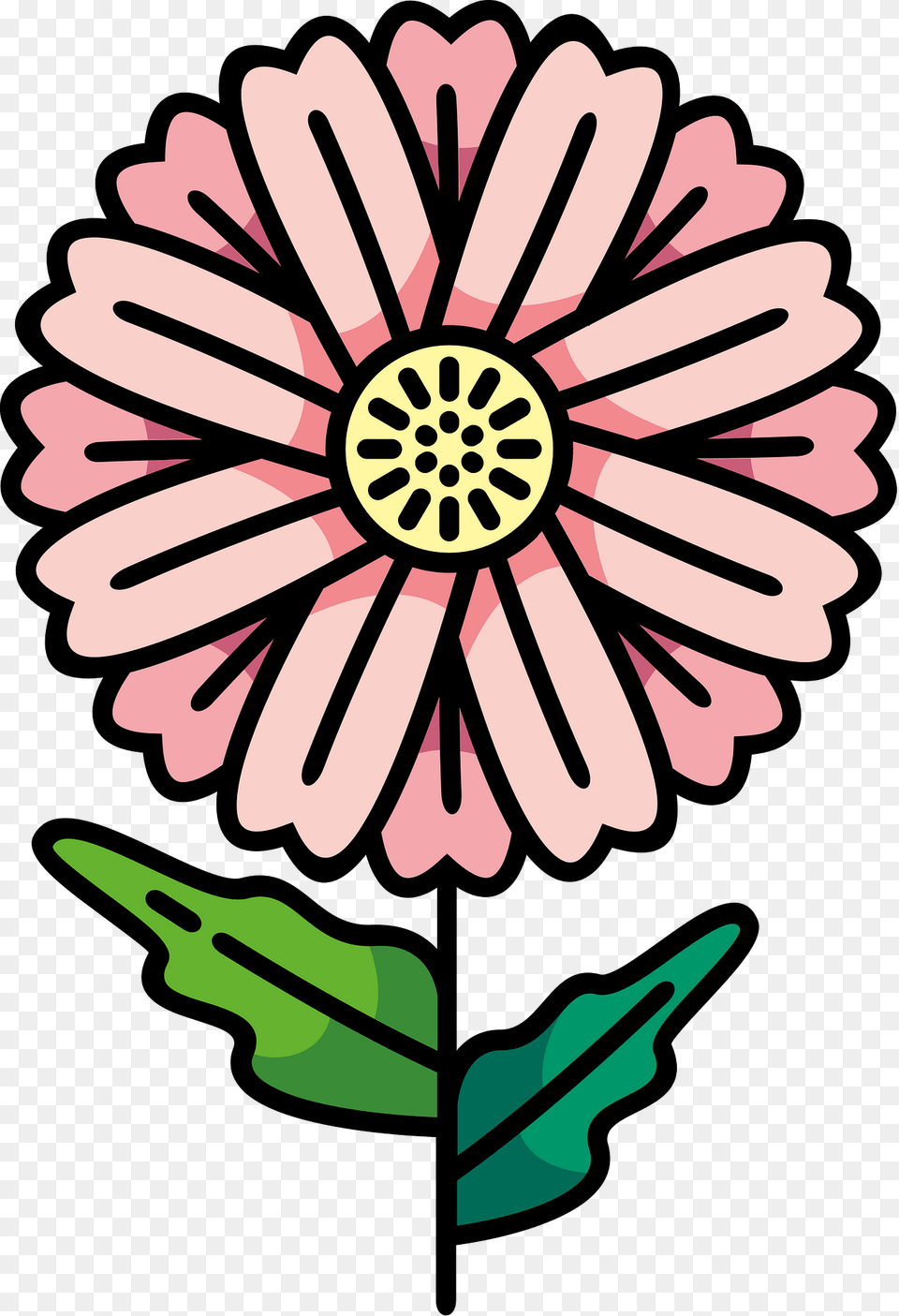 Daisy Clipart, Dahlia, Flower, Plant, Dynamite Png Image