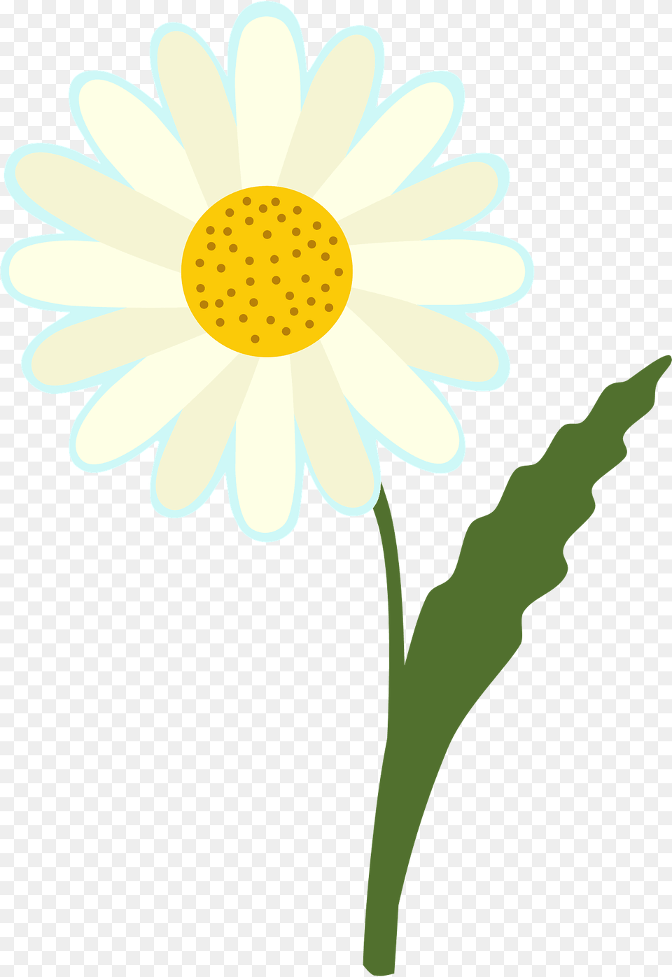 Daisy Clipart, Flower, Plant, Petal, Chandelier Png
