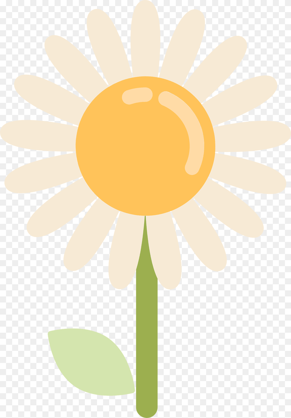 Daisy Clipart, Flower, Plant Free Png