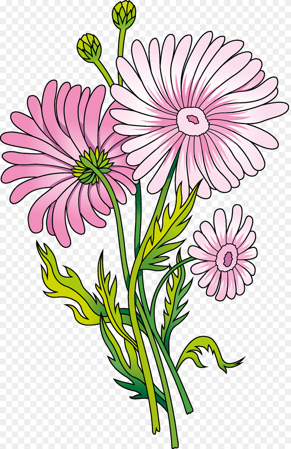 Daisy Clipart, Flower, Plant, Pattern, Art Free Transparent Png
