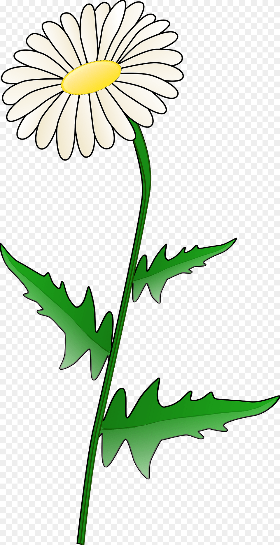 Daisy Clipart, Flower, Plant, Animal, Fish Free Transparent Png