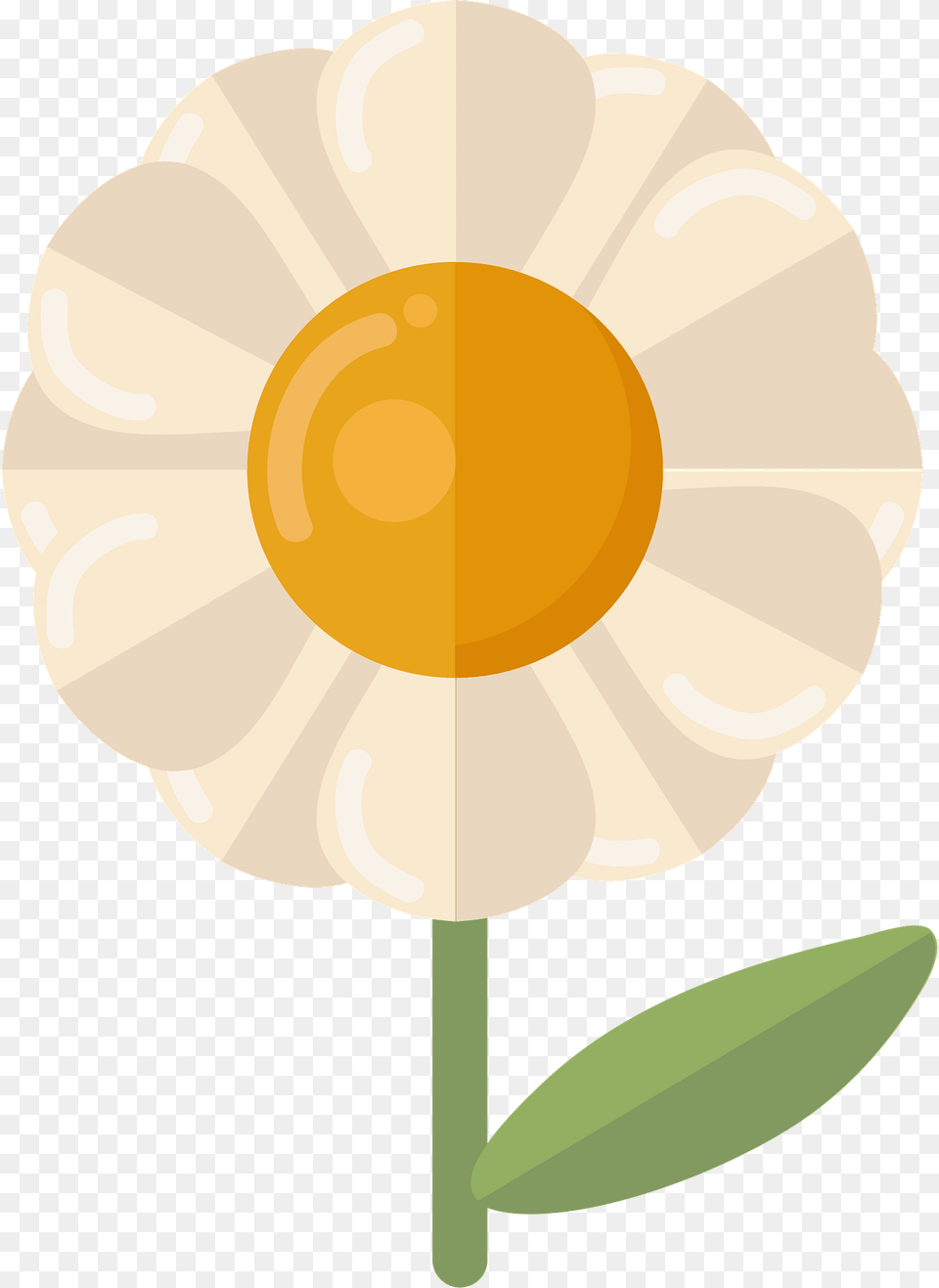 Daisy Clipart, Flower, Petal, Plant, Anemone Free Transparent Png