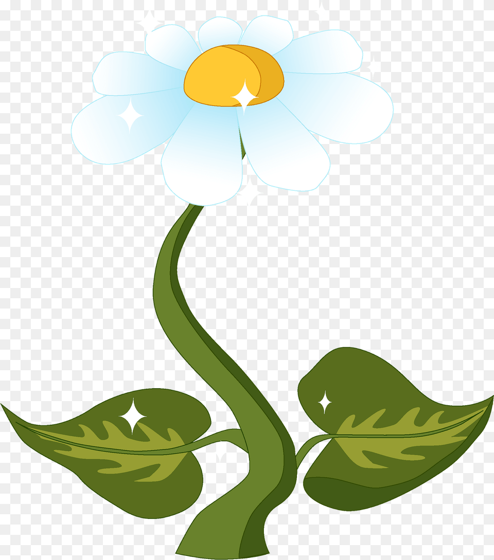 Daisy Clipart, Flower, Plant, Anther, Anemone Png Image