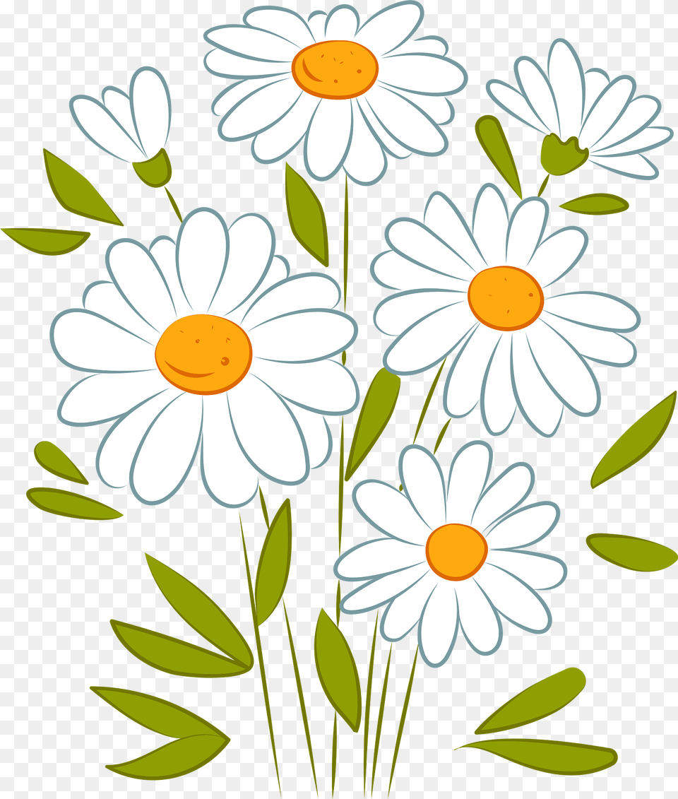 Daisy Clipart, Flower, Plant Free Png Download