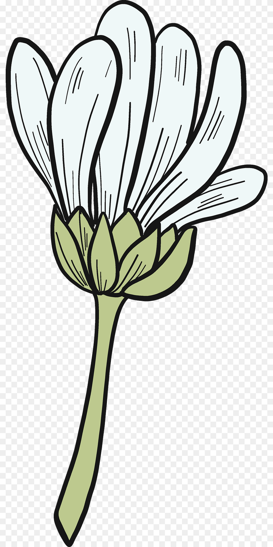 Daisy Clipart, Flower, Plant, Petal, Art Png Image