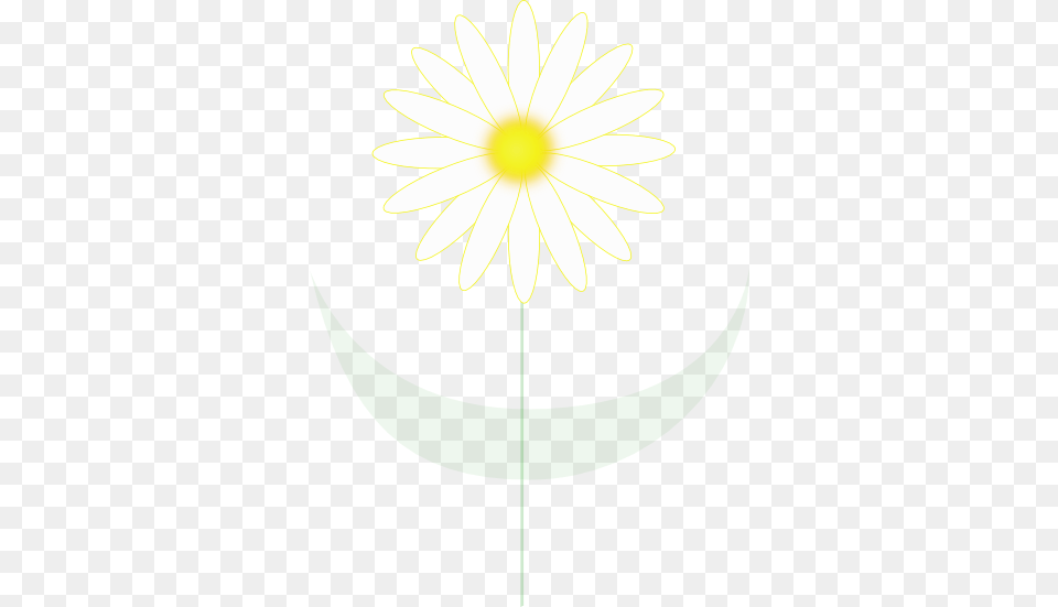 Daisy Clipart And Vector Illustrations, Flower, Plant, Chandelier, Lamp Free Png