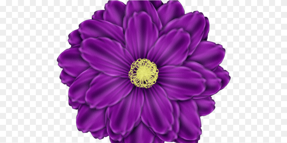 Daisy Clipart Daisy Flower Flowers Clip Art Purple, Dahlia, Plant, Petal, Person Png Image