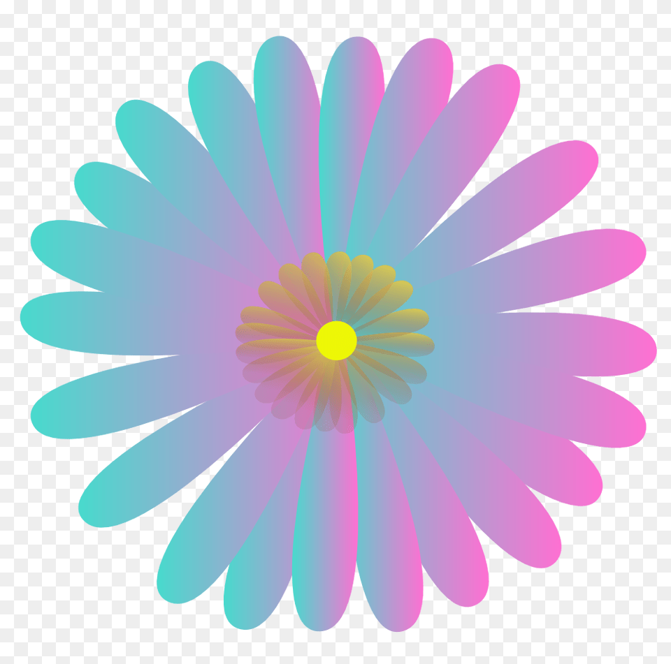 Daisy Clipart Flora, Flower, Plant, Pattern Png Image