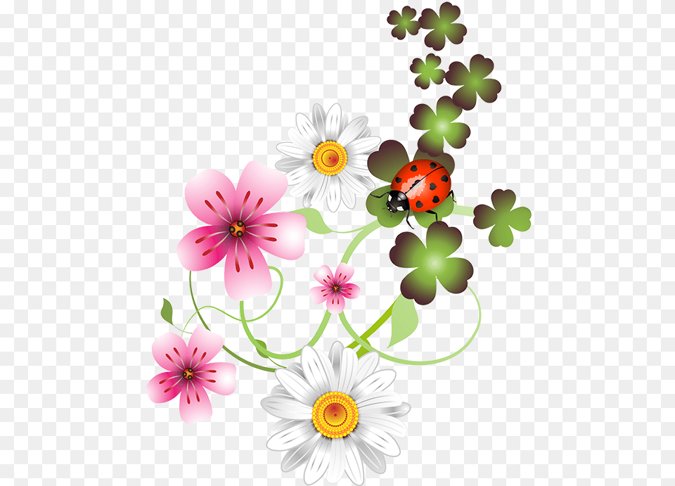 Daisy Clipart Flores Cliparts Bloemen, Plant, Pattern, Graphics, Flower Png