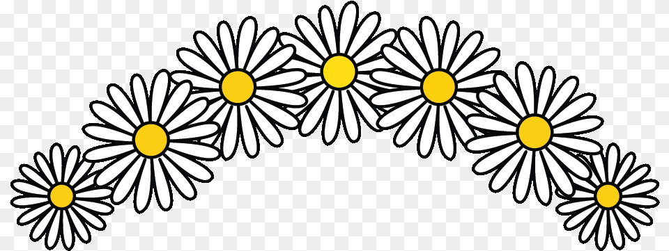 Daisy Clipart Flower Gif Transparent Daisy Gif, Plant Png