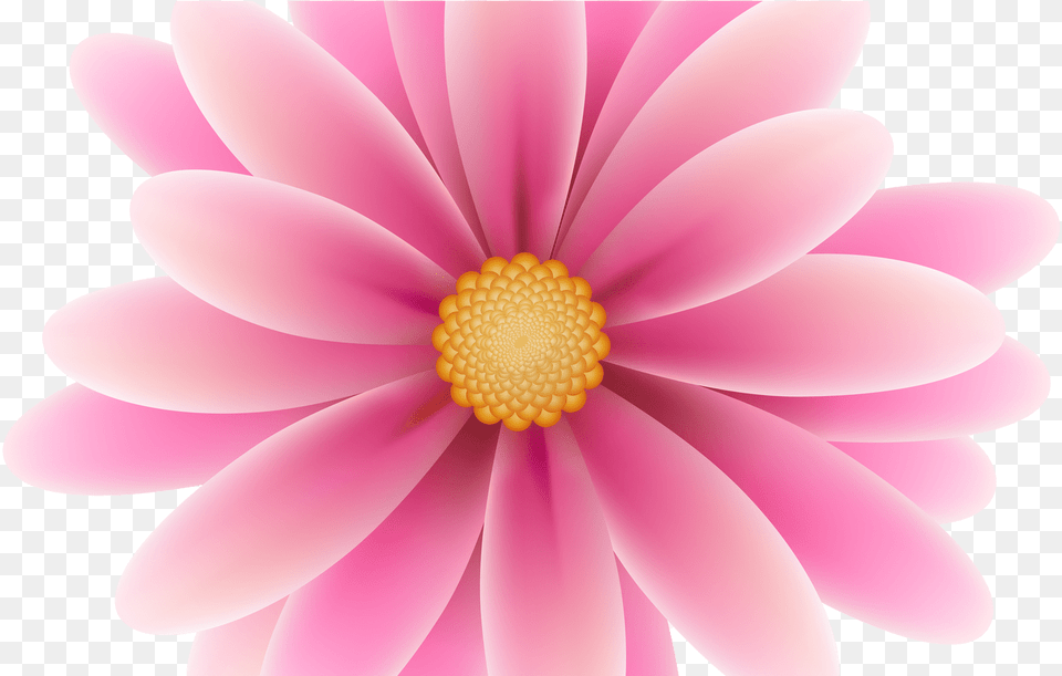 Daisy Clipart Flowerclip Portable Network Graphics, Anemone, Dahlia, Flower, Petal Free Transparent Png