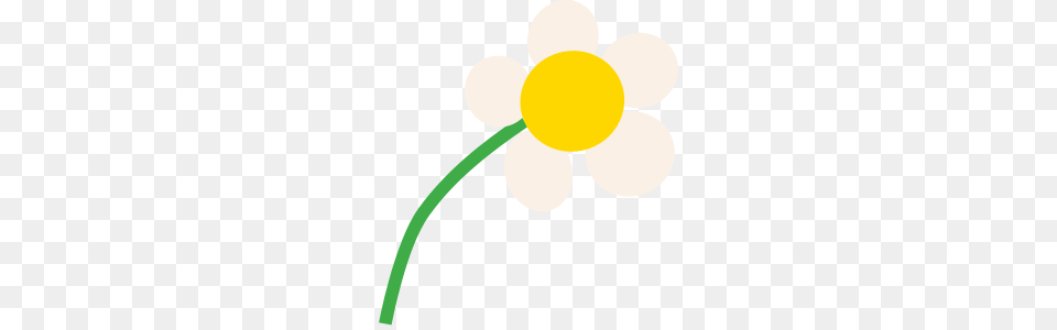 Daisy Clipart For Web, Anemone, Flower, Plant, Daffodil Free Png