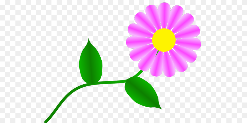 Daisy Clipart Girlscout, Anemone, Flower, Petal, Plant Free Png
