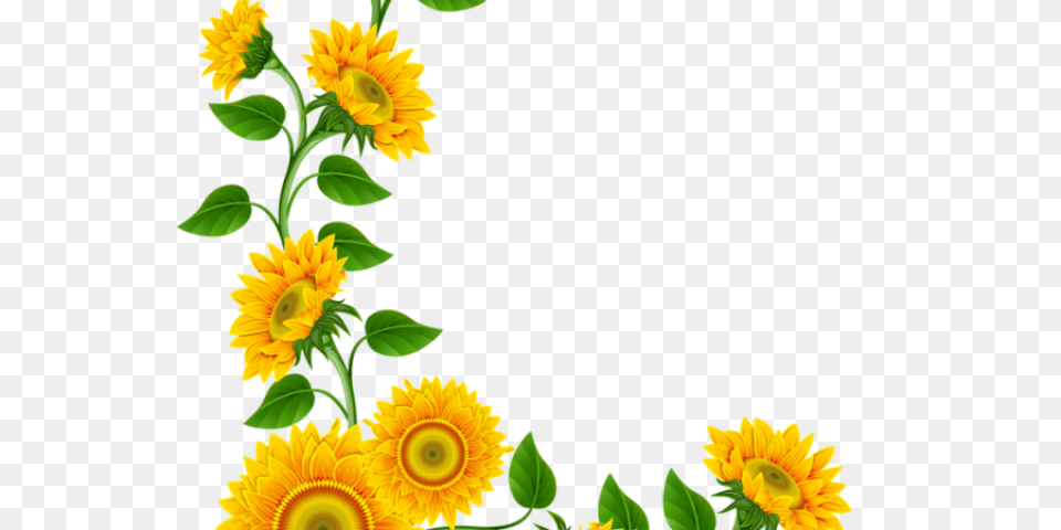 Daisy Clipart Halloween, Flower, Plant, Sunflower Free Png Download