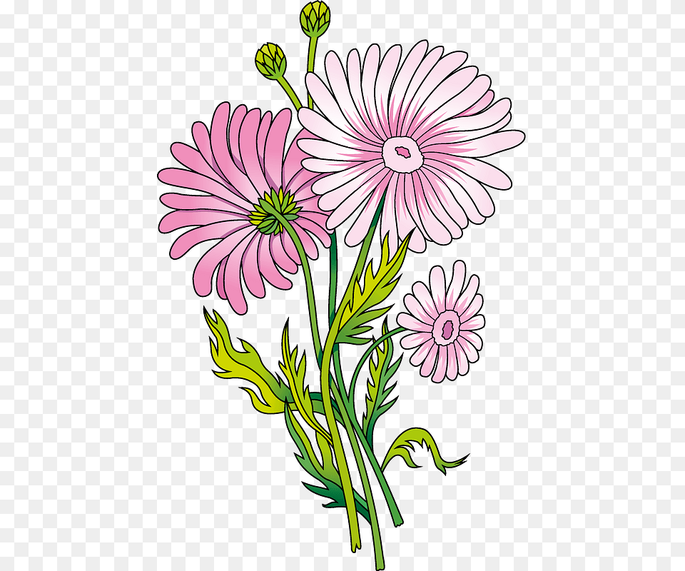 Daisy Clipart Marguerite Daisy, Flower, Pattern, Plant, Art Png Image