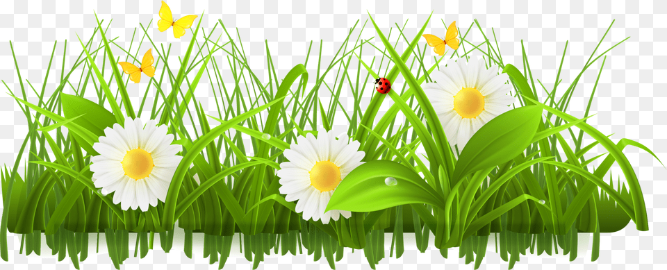 Daisy Clipart Springtime Flower Flower Grass Border Design, Plant, Green, Outdoors, Petal Free Png Download