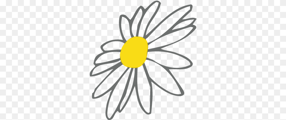 Daisy Digu0027ins Daisy, Flower, Plant, Petal Free Png Download